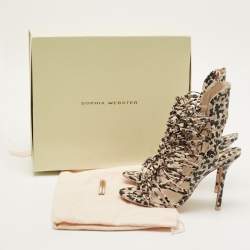 Pre Owned صندل سوفيا وبستر غلادياتور جلد مونوكرومي بسيور بحزام للكاحل مقاس 38