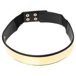Pre Owned Stella McCartney Black Faux Leather Gold Tone Metal Plate Waist Belt 70CM