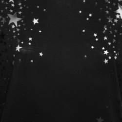 Pre Owned Stella McCartney Black Star Mesh Detail Jersey Short Sleeve T-Shirt M