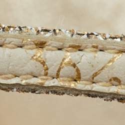 Pre Owned Stuart Weitzman Gold Metallic Lurex Fabric Nudist Ankle Strap Sandals Size 36.5