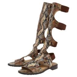 Stuart Weitzman Brown Python Leather Gladiator Flat Sandals Size 36.5