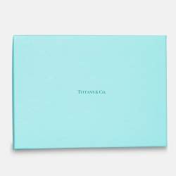 Pre Owned Tiffany & Co. Blue Printed Silk Scarf