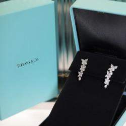 Tiffany & Co. Platinum Diamond Victoria Floral Earrings