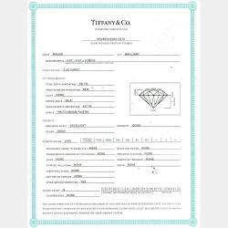 Pre Owned Tiffany & Co. Diamonds by the Yard Platinum and Diamond Pendant Necklace