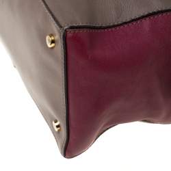 Tod's Taupe/Burgundy Leather D-Styling Medium Tote