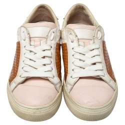 Tod's Multicolor Python And Leather Lace Up Sneakers Size 36