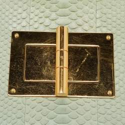 Pre Owned Tom Ford Mint Green Python Large Natalia Shoulder Bag