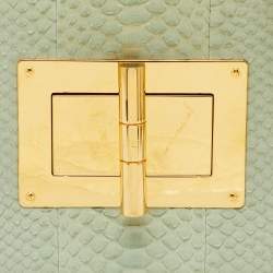 Pre Owned Tom Ford Mint Green Python Large Natalia Shoulder Bag