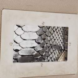 Pre Owned Tom Ford Metallic Silver Python Leather Small Natalia Crossbody Bag