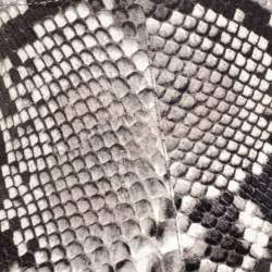 مملوكة مسبقًا Tory Burch Black/White Python Embossed Leather Shelby Ankle Boots Size 38.5