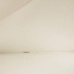 Pre Owned Tory Burch Beige Lizard Embossed Leather Small Eleanor Shoulder Bag