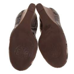 Pre Owned حذاء كعب عالى تورى برش كعب روكى كارولينا جلد نقش ثعبان  لونين مقاس 38.5 