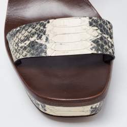 مملوكة مسبقًا صندل توري برش إسبادريل جلد نقش ثعبان ثلاثي اللون نعل روكي سير كاحل مقاس 38