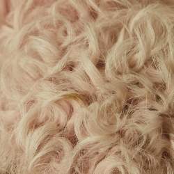Valentino Light Pink Fur & Lace Short Sleeve Crop Jacket S