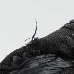 Pre Owned Valentino Bow Black Leather, Nylon and Straw Hobo