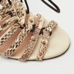 Valentino Brown/Beige Watersnake Rockstud Lace Up Strappy Sandals Size 37.5