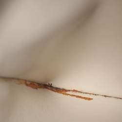 مملوكة مسبقًا Valextra Brera Azur Leather Crossbody Bags