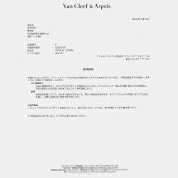 مملوكة مسبقًا Van Cleef & Arpels Cosmos 18K White Gold Diamond Brooch Necklace