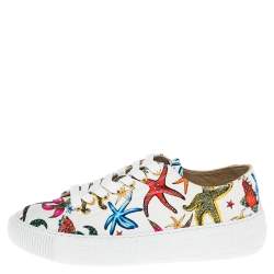 Versace Multicolor Canvas Starfish Print Low Top Sneakers Size 40