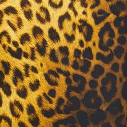 Pre Owned Versace Yellow Animal Printed Crepe Shift Midi Dress S