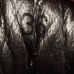 Pre Owned Zadig and Voltaire Multicolor Suede and Leather Embellished Low Top Sneakers Size 36