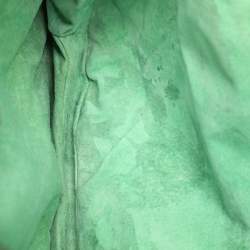 Zagliani Green Python Fringe Details Flap Shoulder Bag