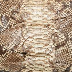 Zagliani Beige/Grey Python Oversized Clutch