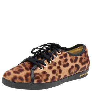 Dolce & Gabbana Brown Leopard Print Calf Hair Low Top Sneakers Size 41