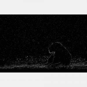 Fortitude By Composing The Wild, India, 2021 (75 X 104)
