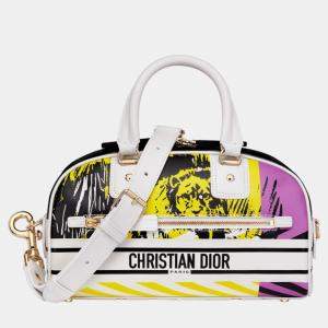 Christian Dior Multi Calfskin Small Dior Vibe Bag
