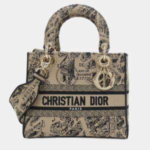 Pre Owned Christian Dior Plan De Paris Lady D-Light Medium Handbag