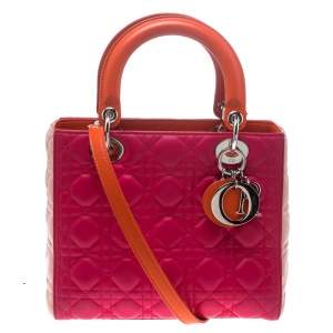 Pre Owned Dior Multicolor Leather Medium Lady Dior Tote