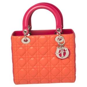 مملوكة مسبقًا حقيبة يد توتس ديور ليدي ديور متوسطة جلد متعدد الألوان 