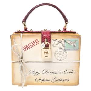 مملوكة مسبقًا Dolce & Gabbana Multicolor Snakeskin and Plastic Inlaid Wood Top Handle Box Bag
