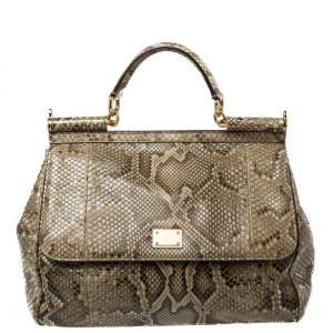 Pre Owned Dolce & Gabbana Brown/Pale Green Python Large Miss Sicily Top Handle Bag