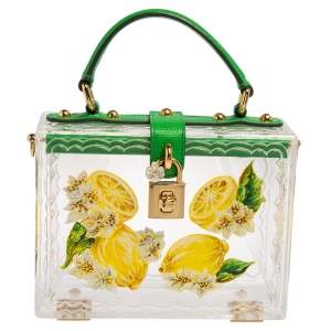 Pre Owned Dolce & Gabbana Green/Yellow Lemon Hand Painted Acrylic and Lizard Box Bag