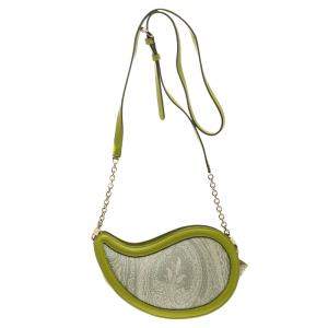 Pre Owned Etro Green Paisly Coated Canvas and Python Embossed Leather Crossbody Bag
