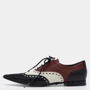 حذاء أوكسفورد غوتشي بروج بروغ جلد متعدد الألوان مقدمة مدببة مقاس 36