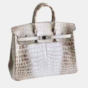 Hermes Himalaya Birkin 25 