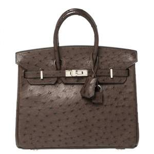 Hermes Havane Ostrich Palladium Hardware Birkin 25 Bag