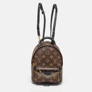Louis Vuitton Monogram Canvas Mini Palm Springs Backpack