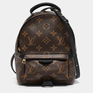 Louis Vuitton Monogram Canvas Mini Palm Springs Backpack