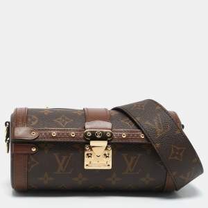 Louis Vuitton Monogram Canvas Papillon Trunk Bag