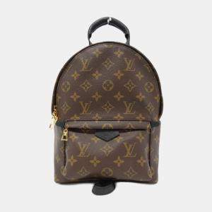Louis Vuitton Monogram Palm Springs PM Backpack 