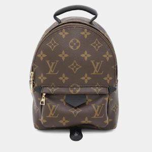 Louis Vuitton Monogram Palm Springs Mini Backpack 