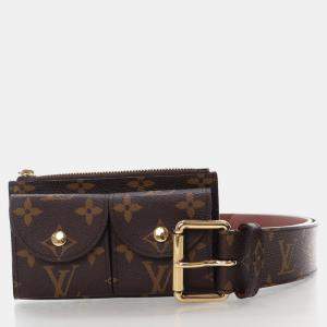 Louis Vuitton Monogram Pochette Duo Belt Bag