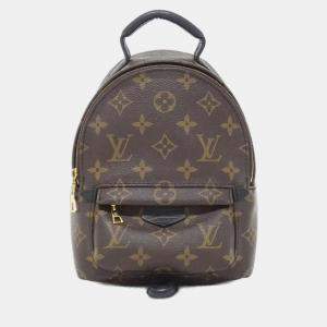 Louis Vuitton Monogram Palm Springs Backpack Mini