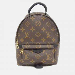 Louis Vuitton Monogram Palm Springs Backpack Mini
