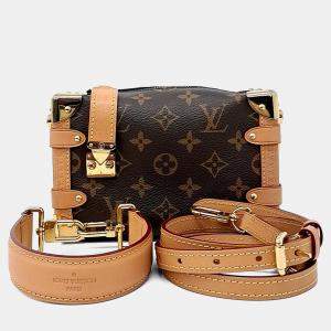 مملوكة مسبقًا Louis Vuitton Brown PVC Side Trunk PM