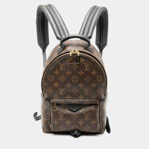 مملوكة مسبقًا Louis Vuitton Brown Monogram Palm Springs PM